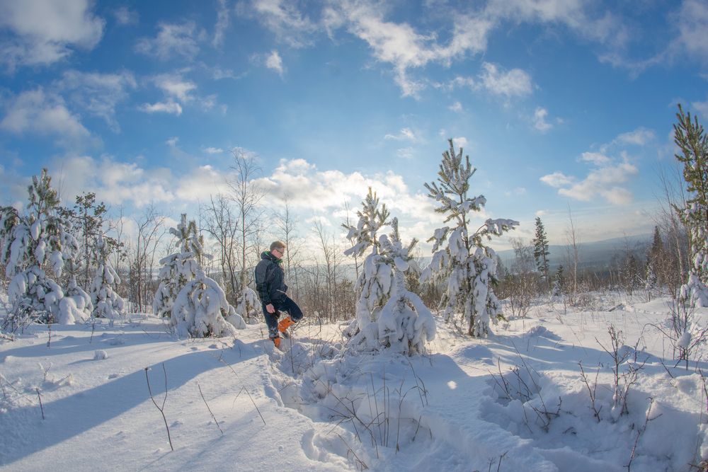 Фотография автора Дмитрий Анисимов
