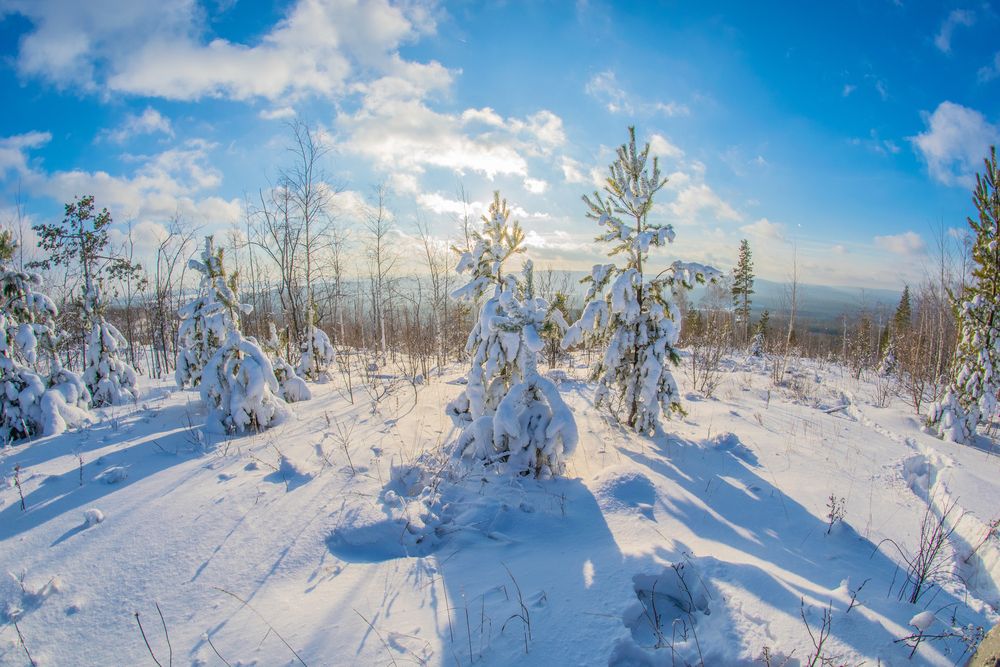 Фотография автора Дмитрий Анисимов