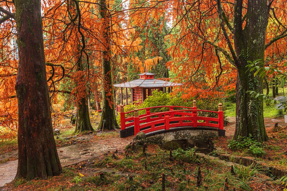 Photograph by Владимир Бочковский