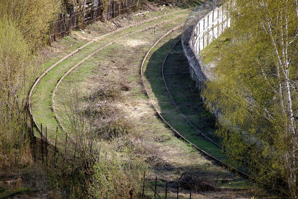 Photograph by Михаил Косолапов