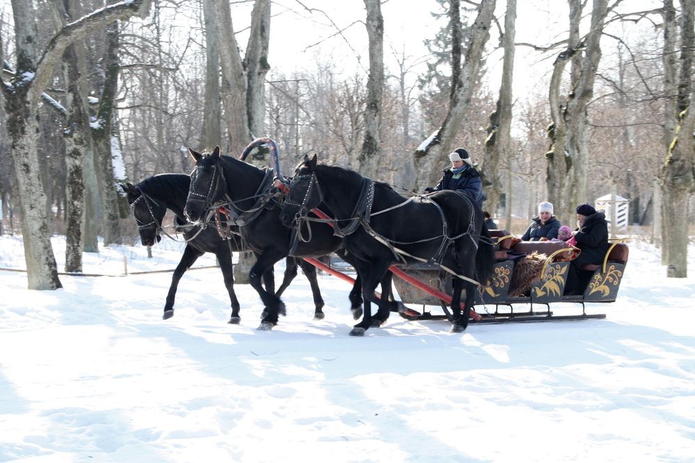 Photograph by Юрий Чистяков