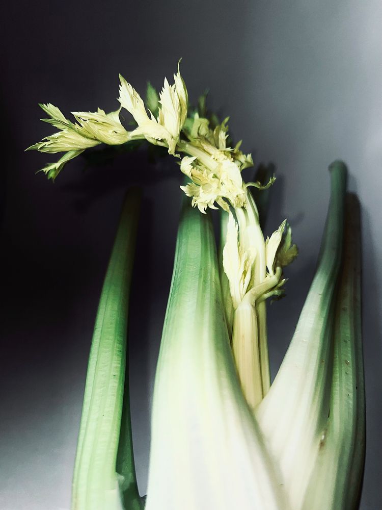 Photograph by Ирина Савицкая