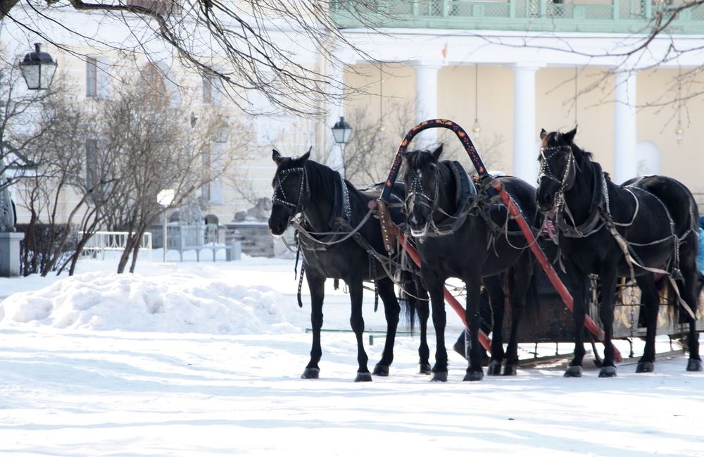 Photograph by Юрий Чистяков