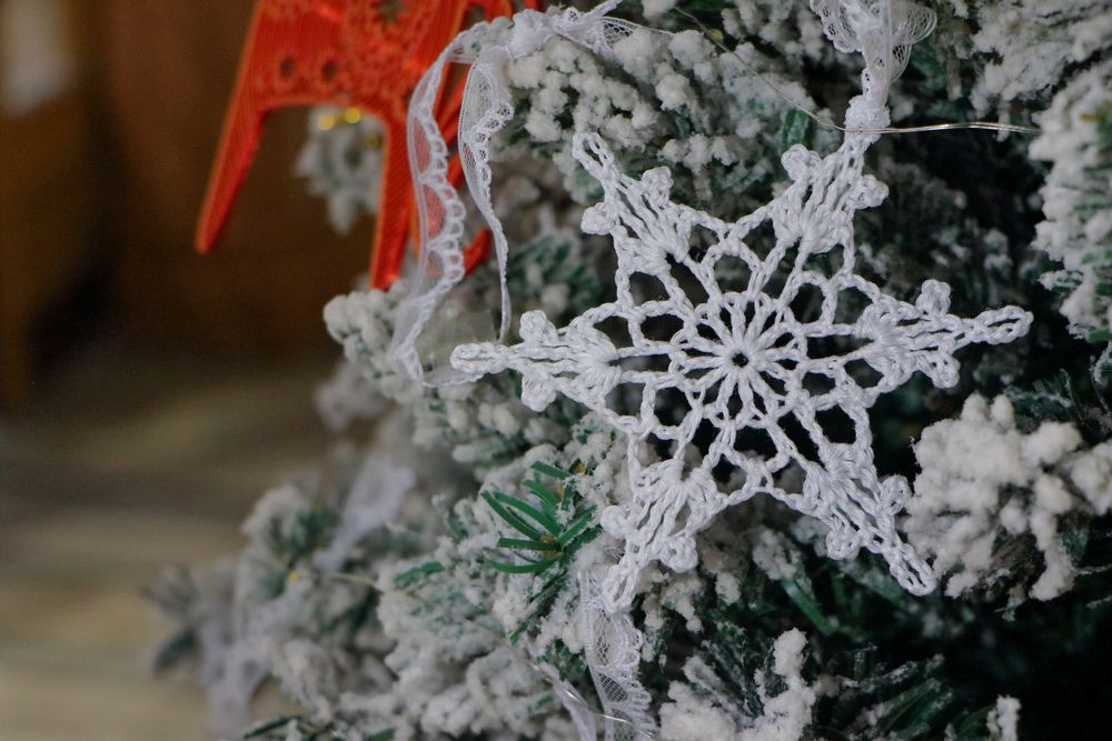 Фотография автора Светлана Долотова