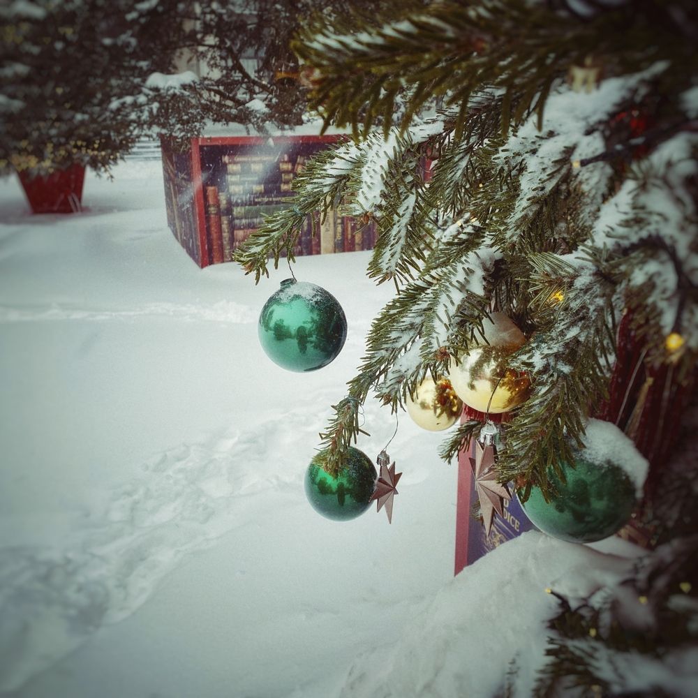 Photograph by Ирина Водяницкая