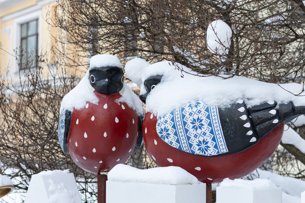 Фотография автора Алина Руденко