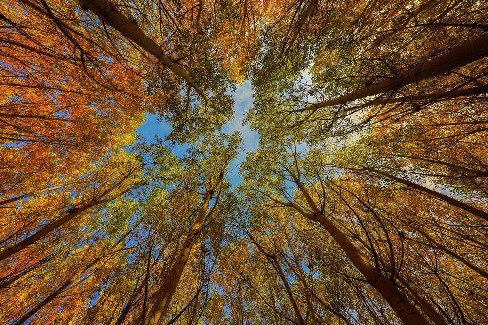 Photograph by Ömer Sarıtas