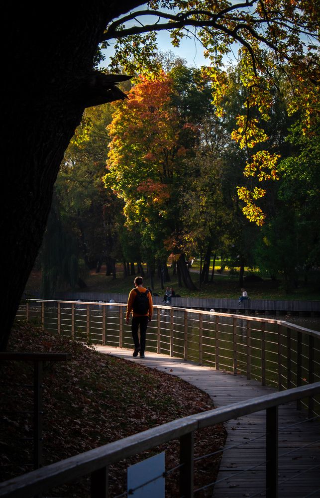 Фотография автора Денис Мартыновский