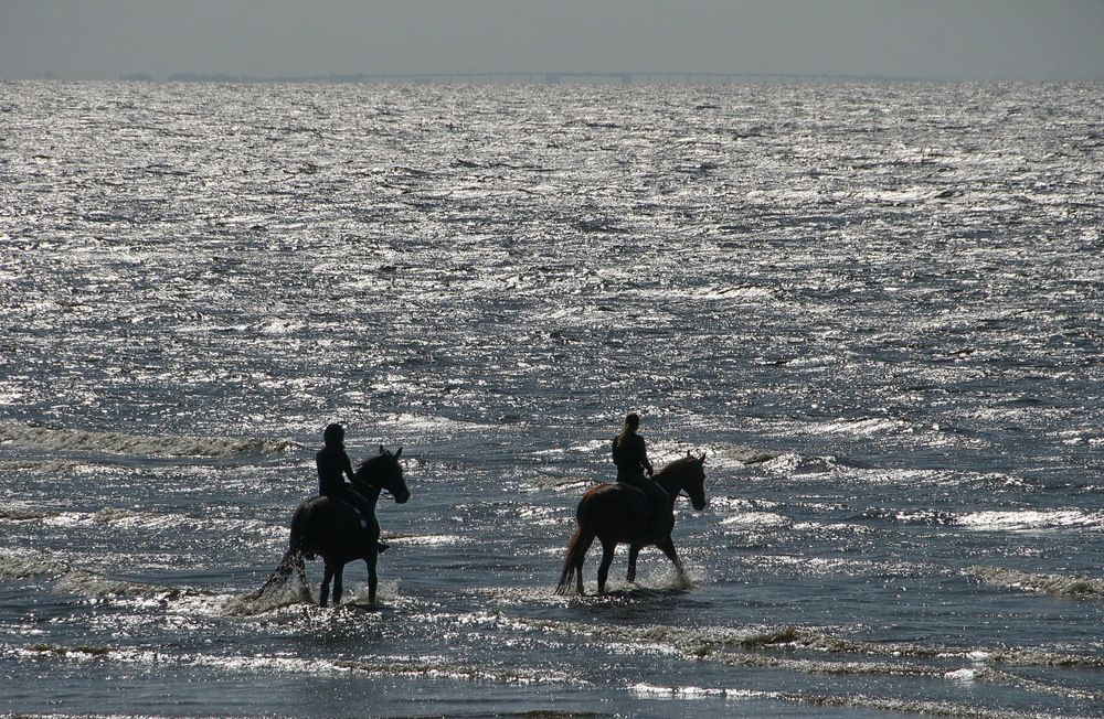 Photograph by Юрий Чистяков