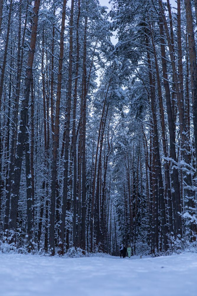 Фотография автора Алина Руденко