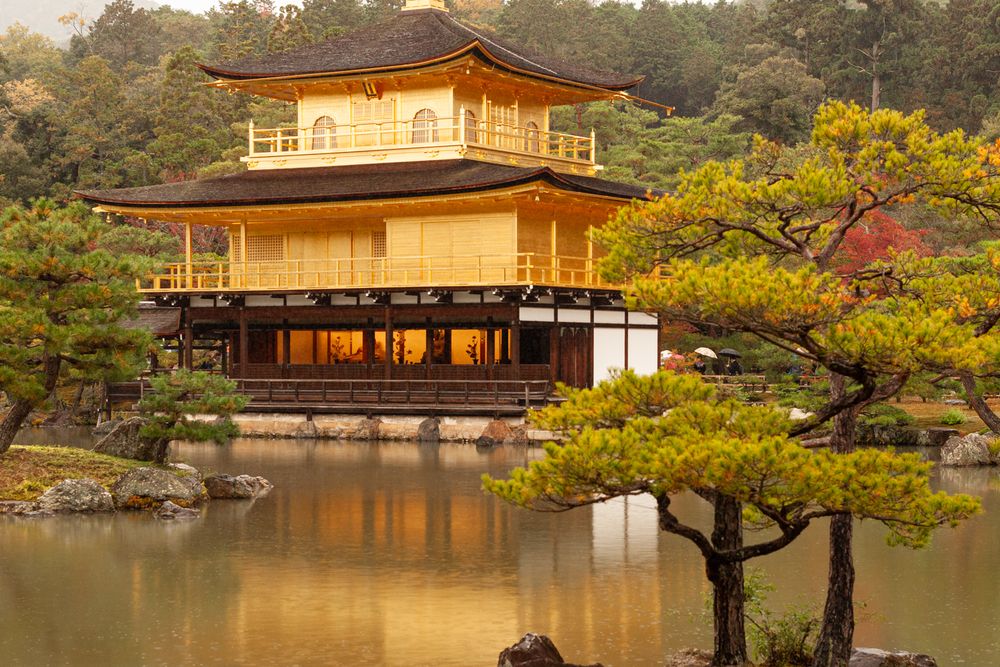 Фотография автора Sophie Abuhazera