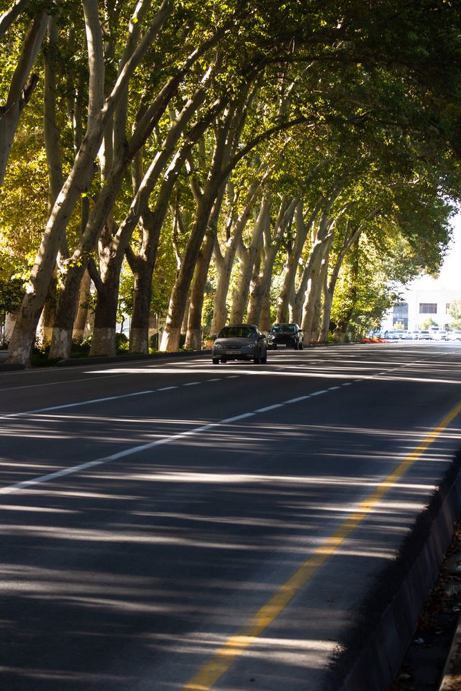 Фотография автора Денис Мартыновский