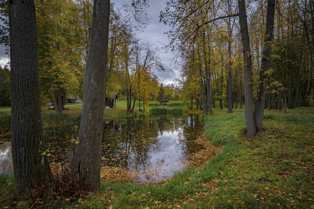 Photograph by Алексей Мякота