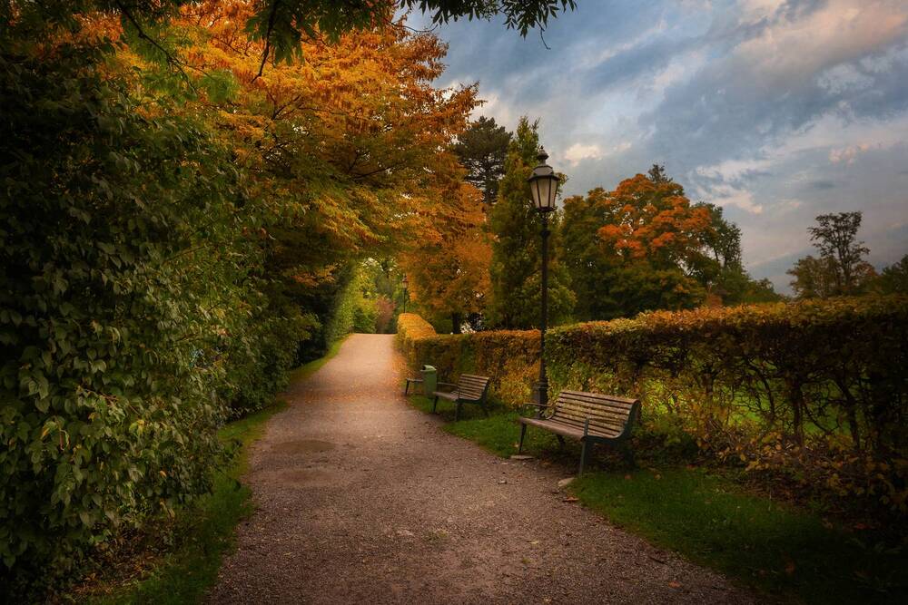 Photograph by Геннадий Зильберис