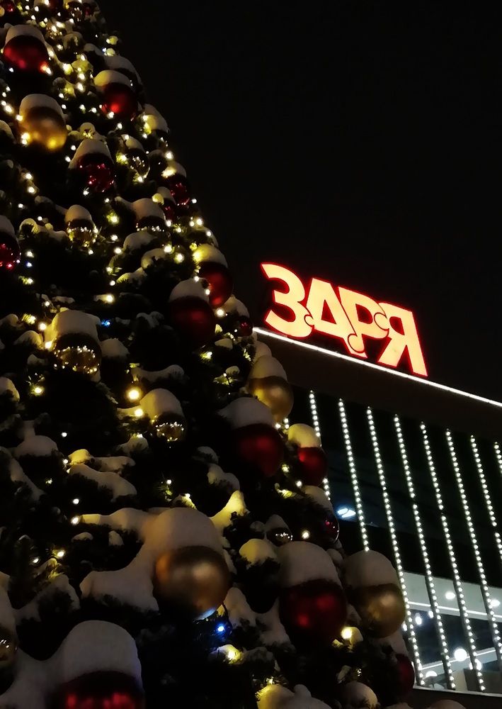 Ёлка зажигает огни рядом с Зарёй