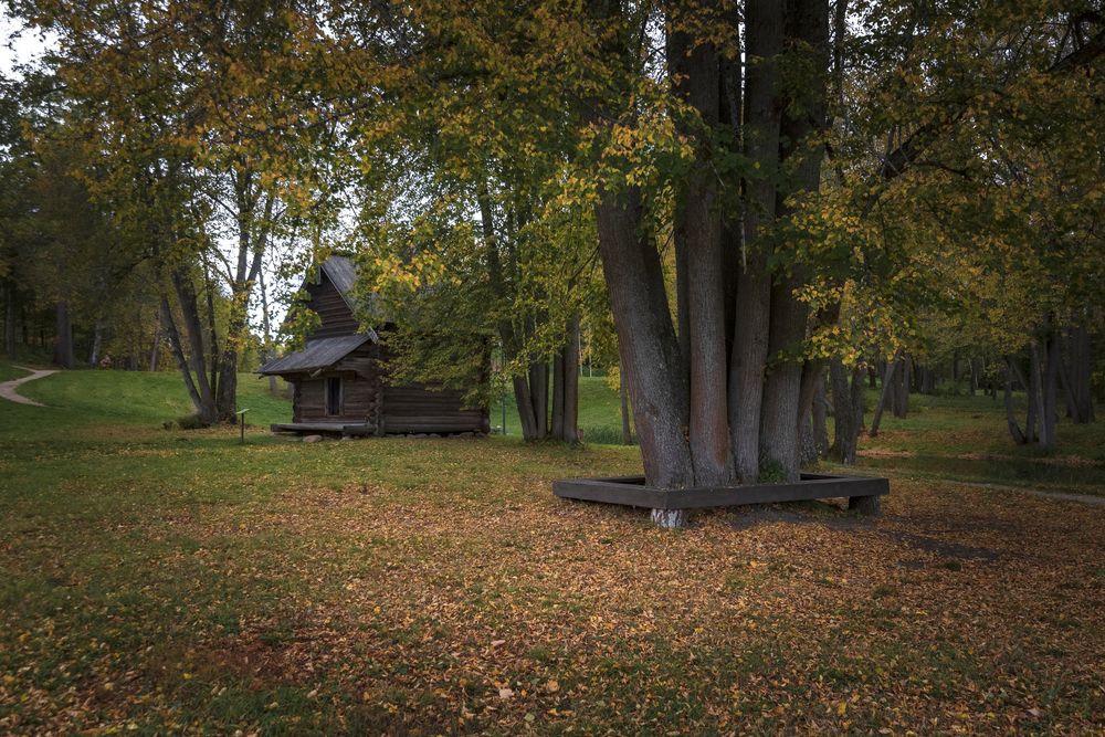 Photograph by Алексей Мякота