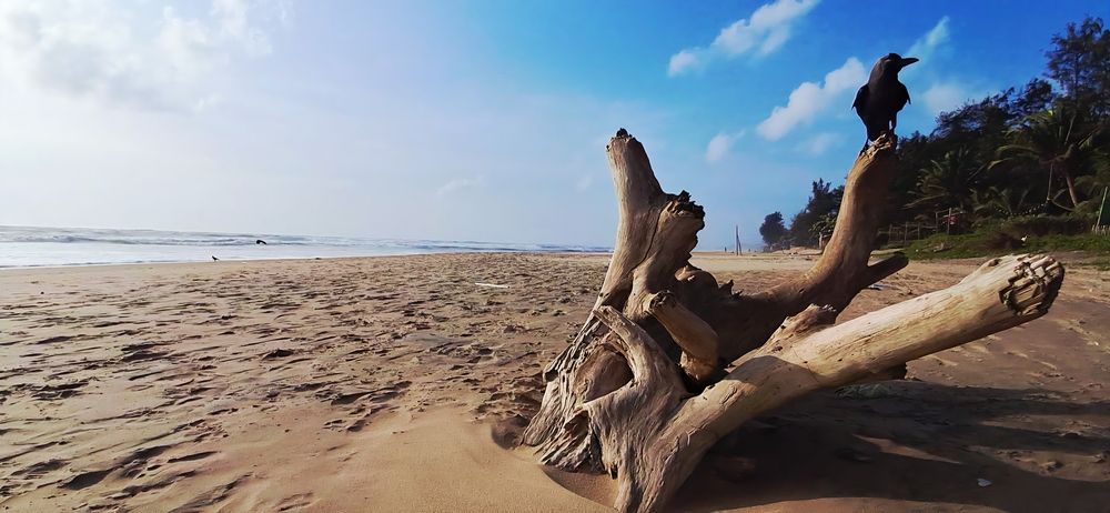 Baywatch in Gokarna, India