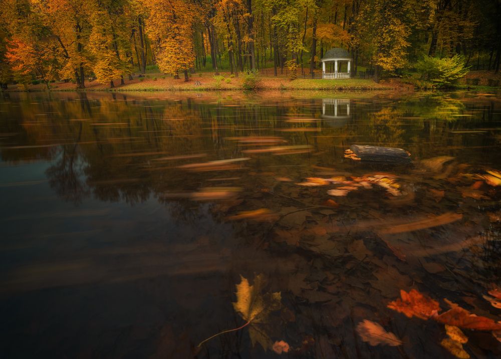 Photograph by Артём Парамонов