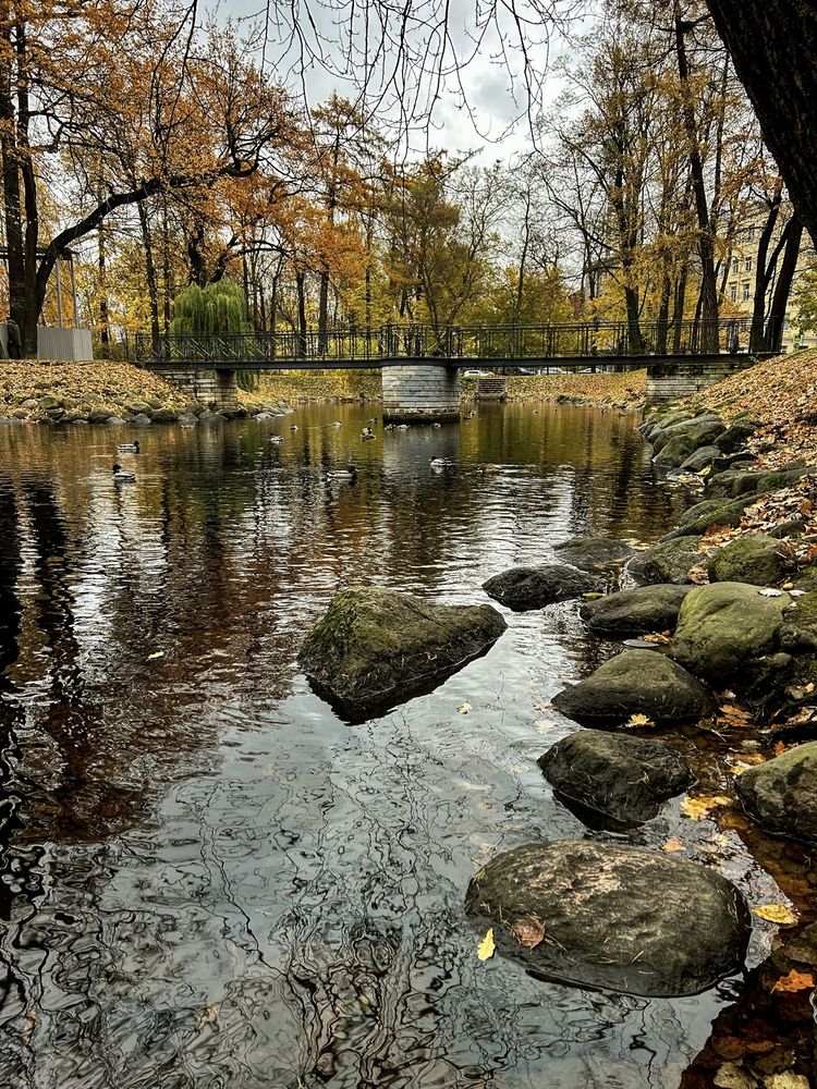 Photograph by Татьяна Шмакова