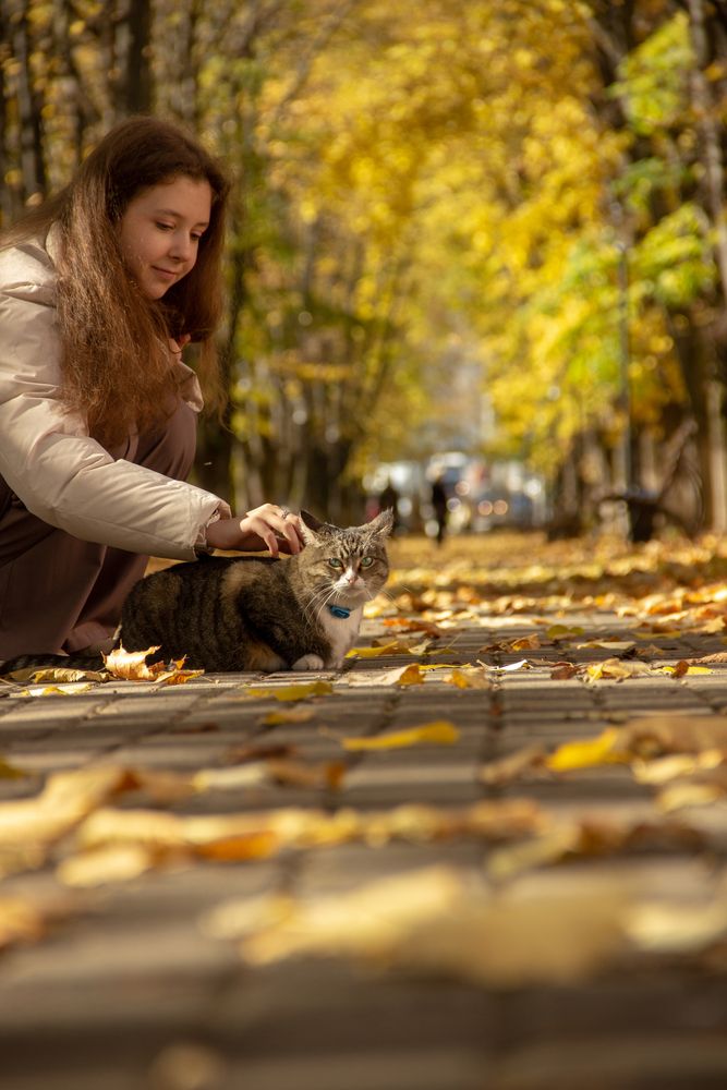 В сквере