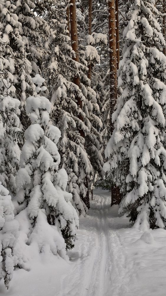 Photograph by Дмитрий Кондратьев