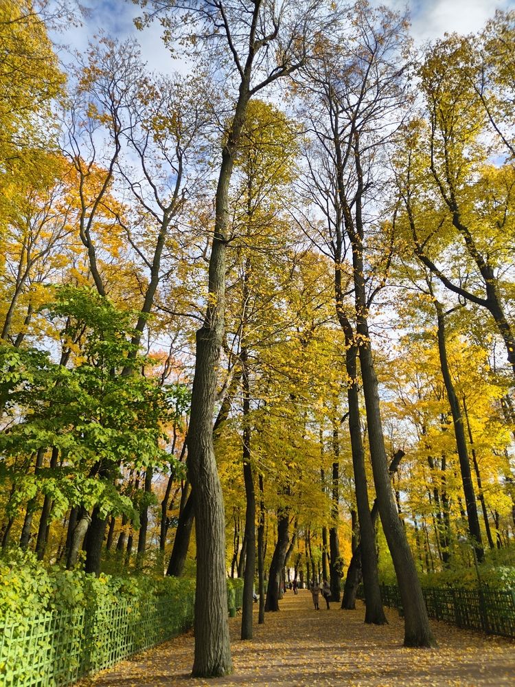 Photograph by Татьяна