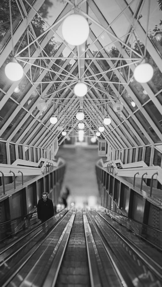 Photograph by Мария Мазикина