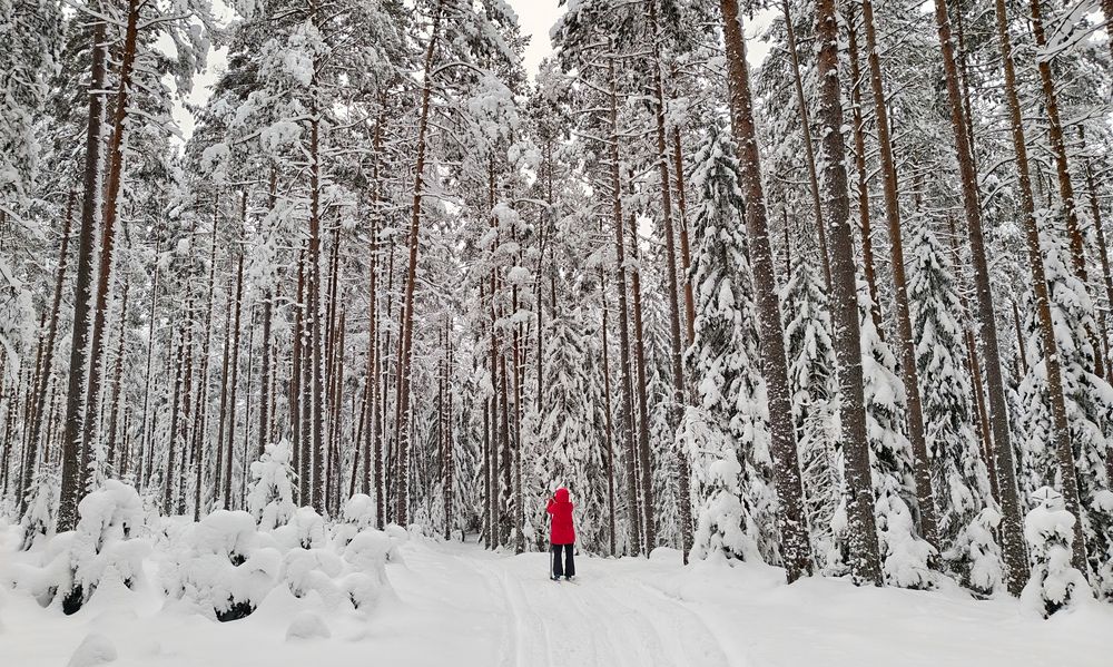 Photograph by Дмитрий Кондратьев