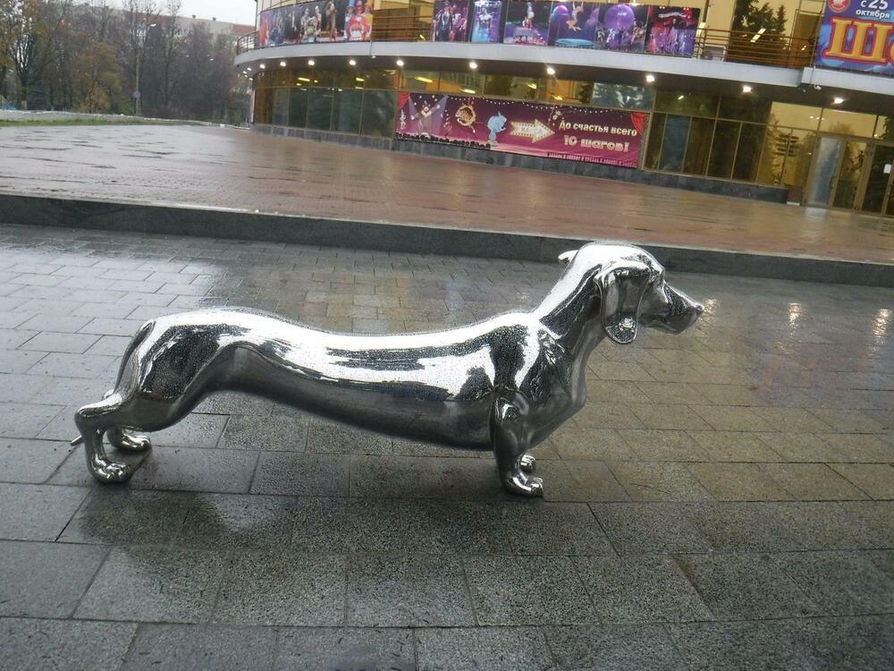 Photograph by Елена Сухорученкова