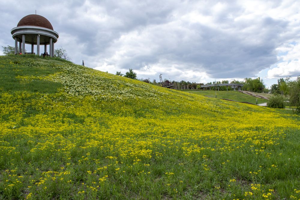 Photograph by Андрей Соколов
