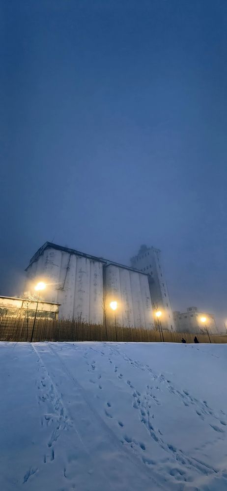 Photograph by Александра