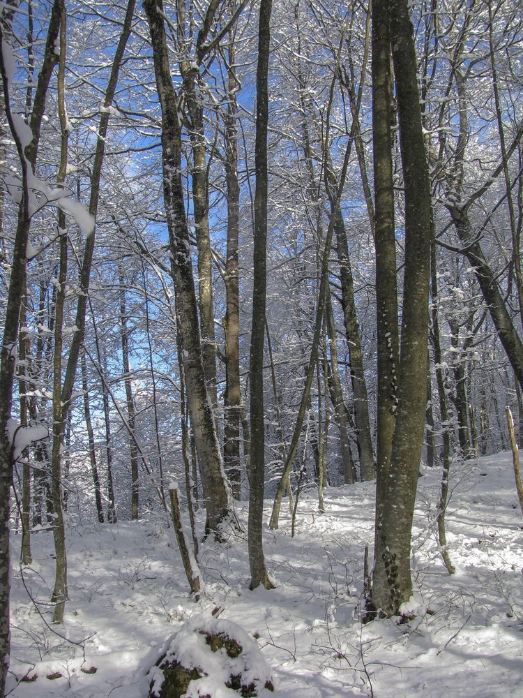 Фотография автора Татьяна Петренко
