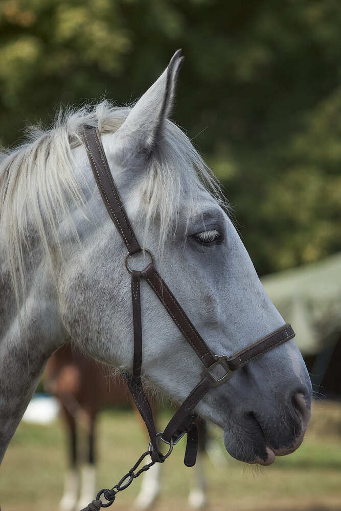 Фотография автора Дмитрий Овчинников