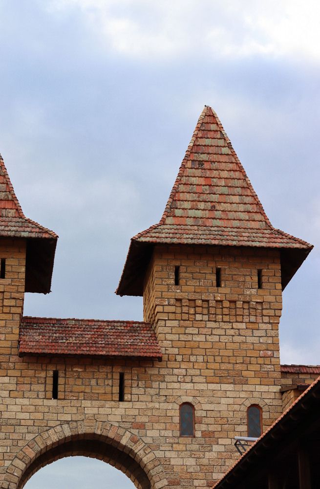 Фотография автора Мещерская Виктория