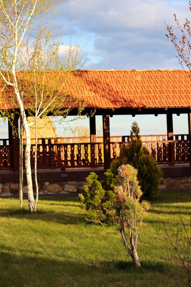 Фотография автора Мещерская Виктория