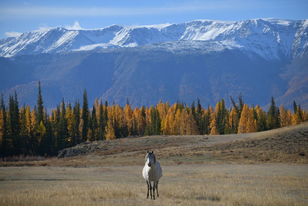 Photograph by Margareth Tikhonova