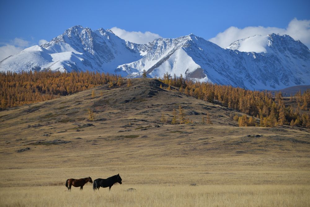 Photograph by Margareth Tikhonova