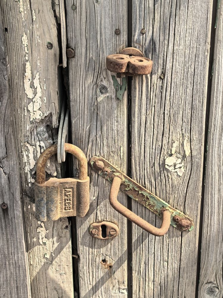 Photograph by Елена Охапкина