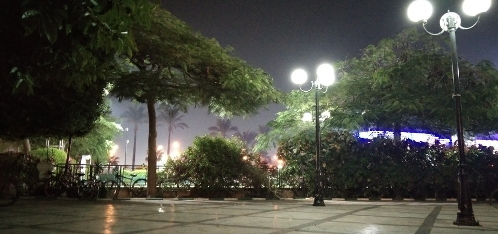 Photo #13060714