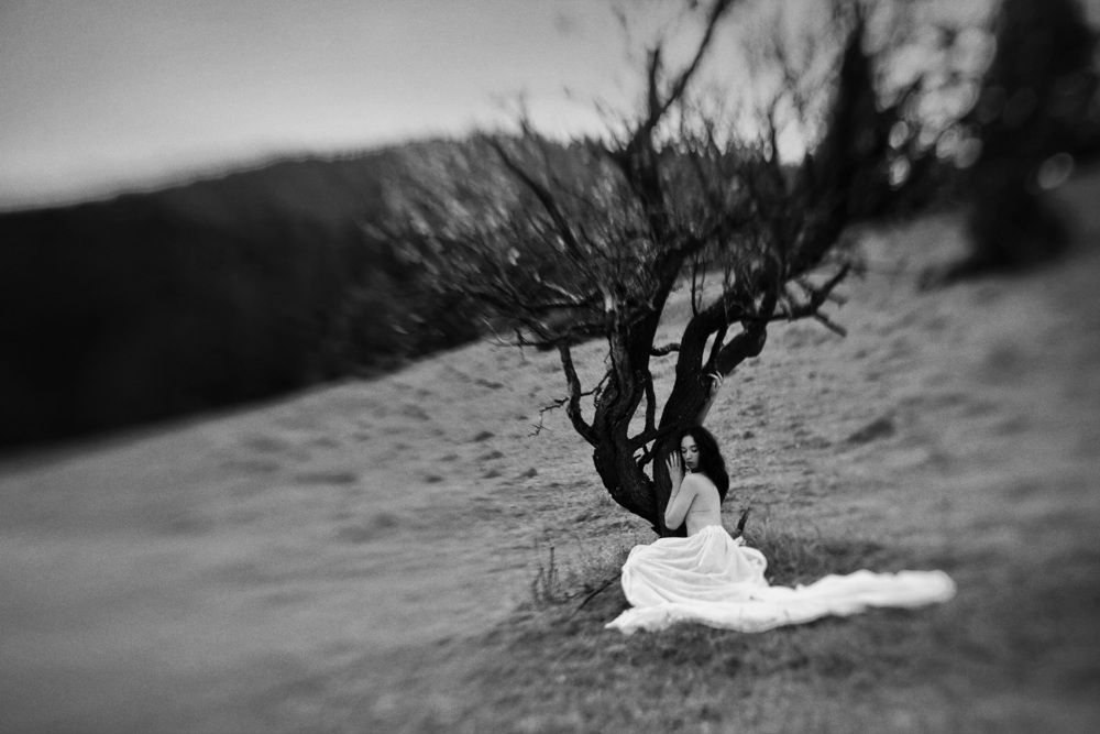 Feeling the soul of the tree