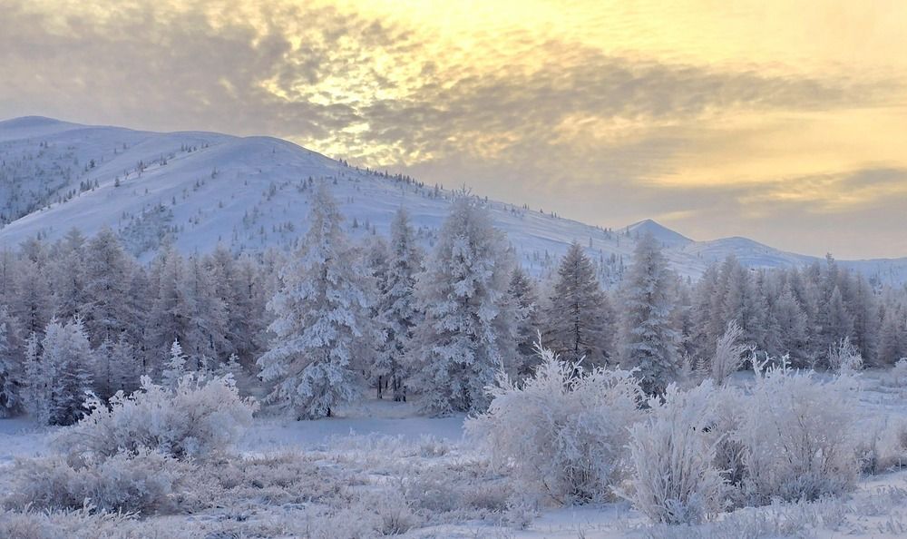 Фотография автора Лариса Ким