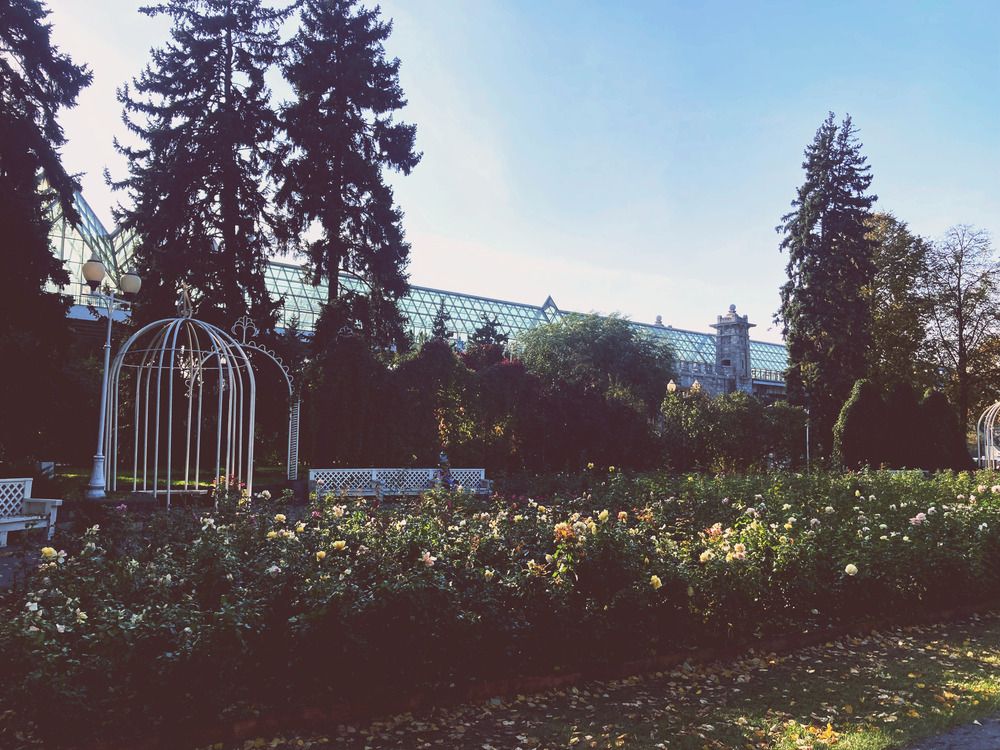 Фотография автора Сергей Демидов