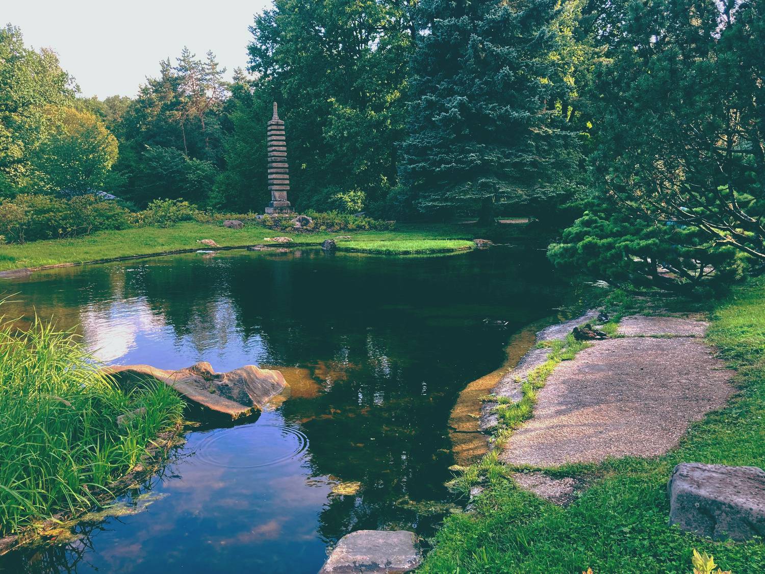 Фотография #13060737