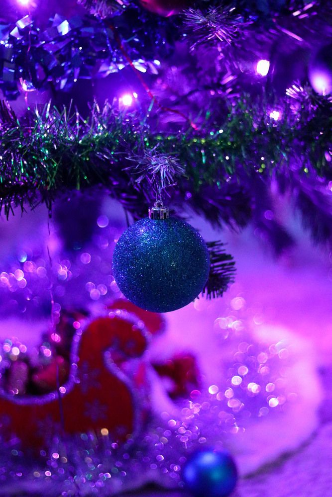 Фотография автора Мещерская Виктория