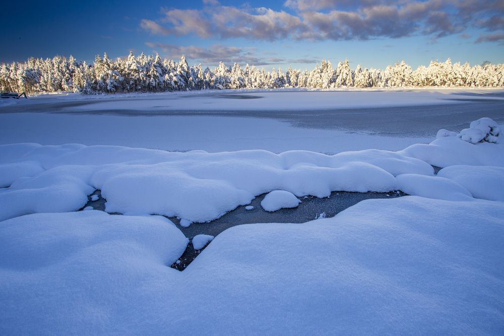 Photograph by Andres Papp