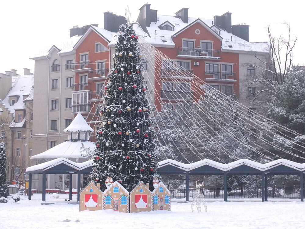 Фотография автора Татьяна Мишкина