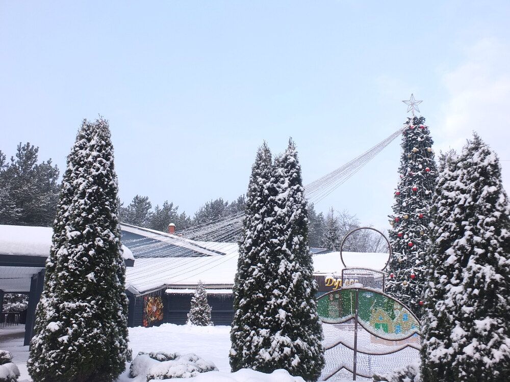 Фотография автора Татьяна Мишкина