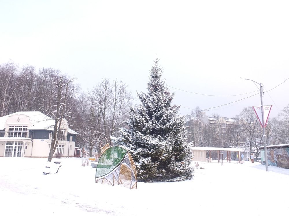 Фотография автора Татьяна Мишкина