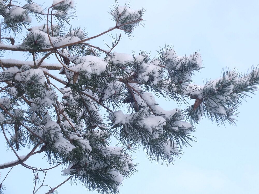 Фотография автора Татьяна Мишкина