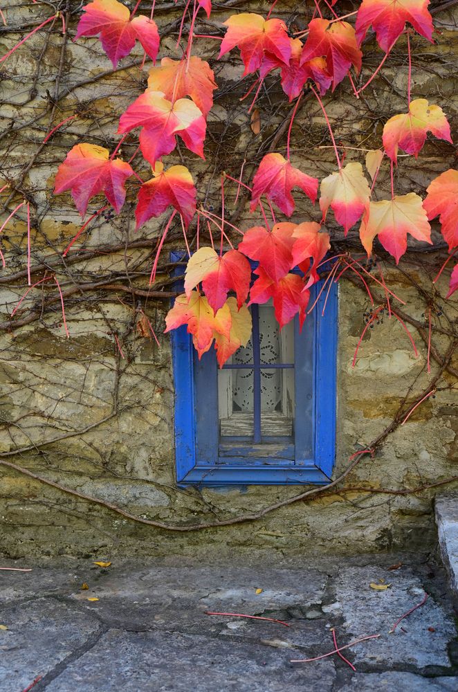 Photograph by Eftychia Vlachonatsou